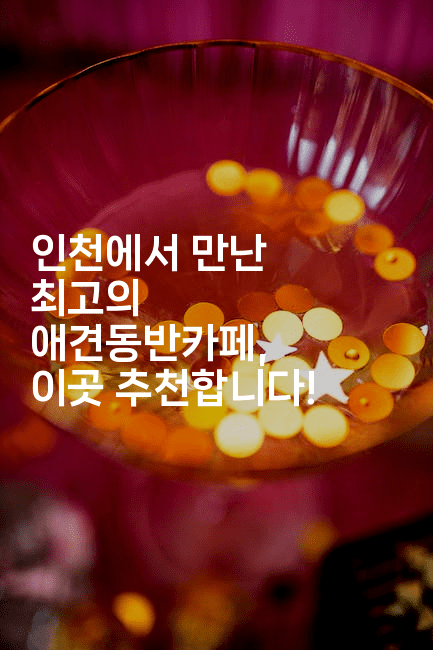인천에서 만난 최고의 애견동반카페, 이곳 추천합니다!