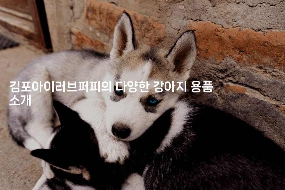 김포아이러브퍼피의 다양한 강아지 용품 소개-멍멍미야
