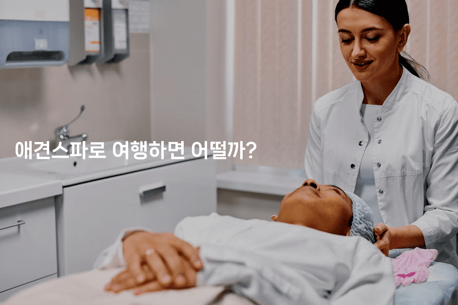 애견스파로 여행하면 어떨까?