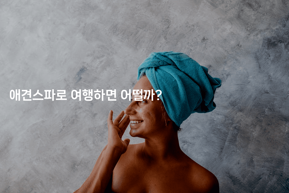 애견스파로 여행하면 어떨까?2-멍멍미야