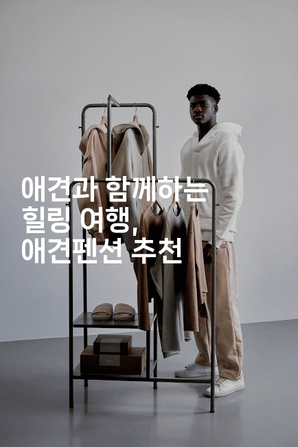 애견과 함께하는 힐링 여행, 애견펜션 추천