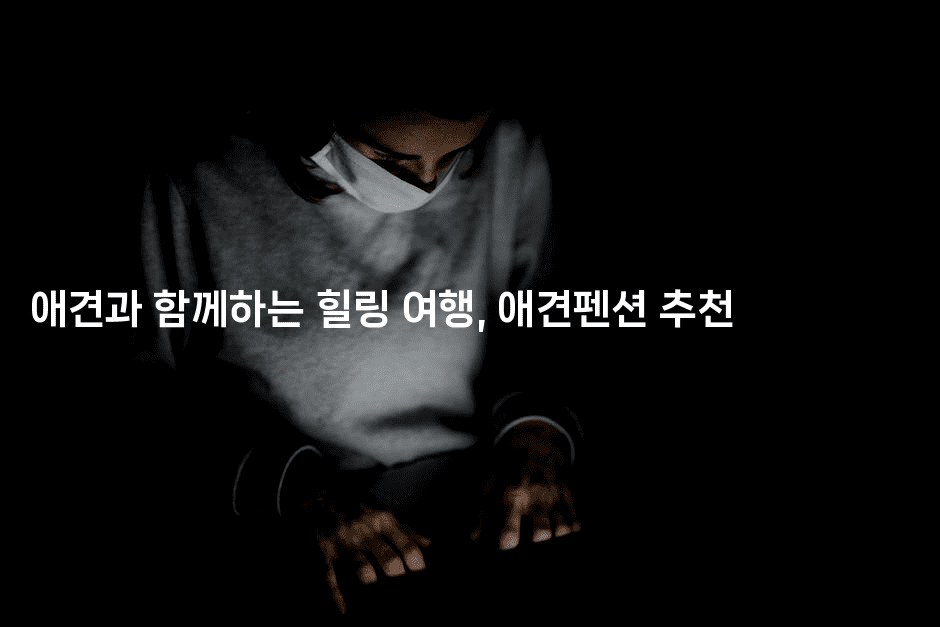 애견과 함께하는 힐링 여행, 애견펜션 추천2-멍멍미야