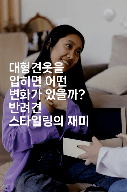 대형견옷을 입히면 어떤 변화가 있을까? 반려견 스타일링의 재미2-멍멍미야