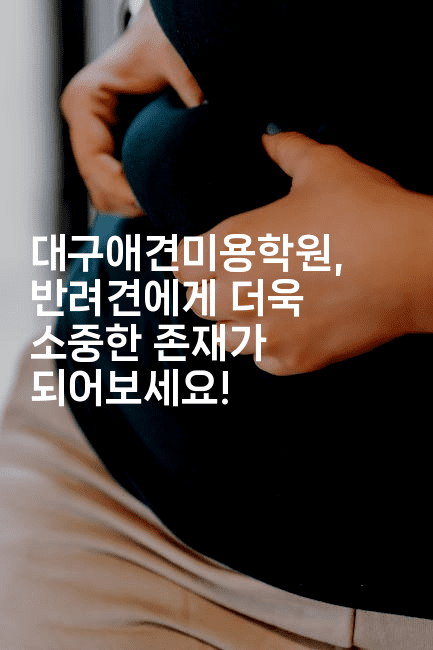 대구애견미용학원, 반려견에게 더욱 소중한 존재가 되어보세요!2-멍멍미야