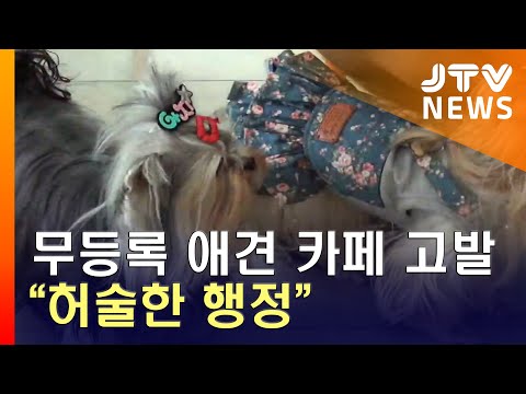 [JTV 8 뉴스] 무등록 애견 카페 고발…"허술한 행정"