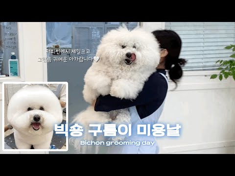 혼자하면 6시간 함께하면 3시간  / 애견미용사가 함께 일하면 좋은점 / What's good about working with a dog gromer.