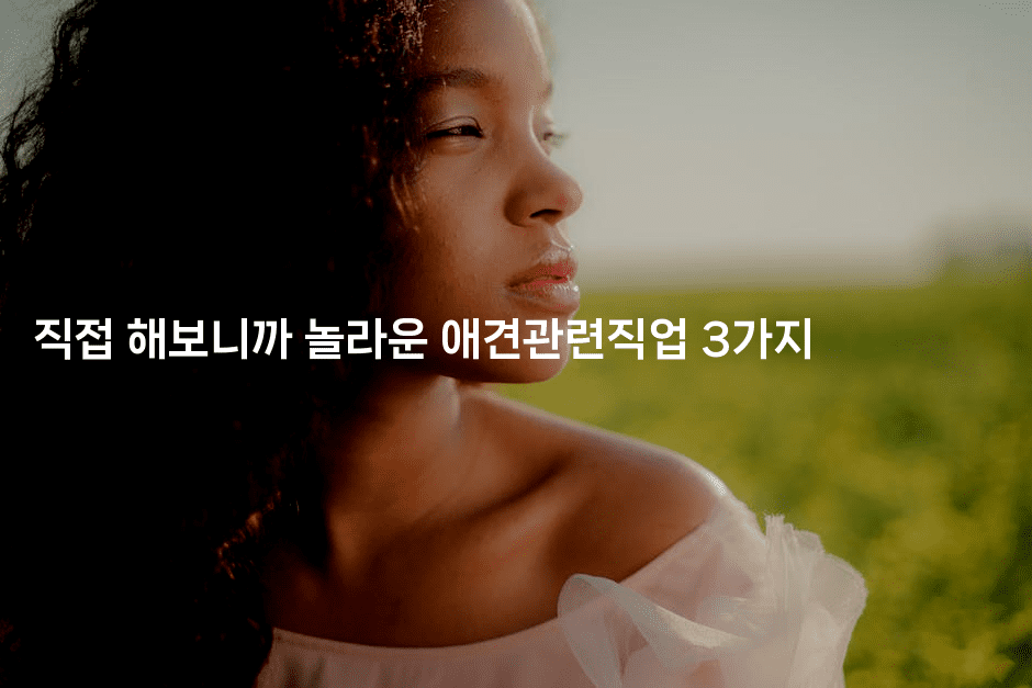 직접 해보니까 놀라운 애견관련직업 3가지