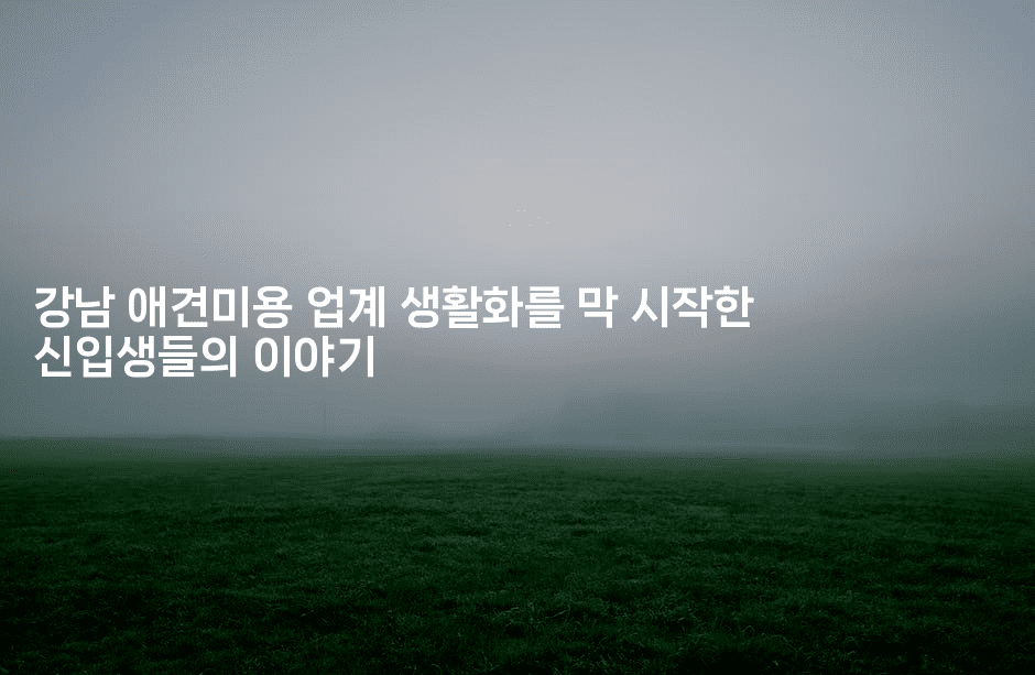 강남 애견미용 업계 생활화를 막 시작한 신입생들의 이야기