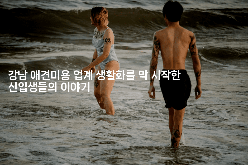 강남 애견미용 업계 생활화를 막 시작한 신입생들의 이야기 2-멍멍미야