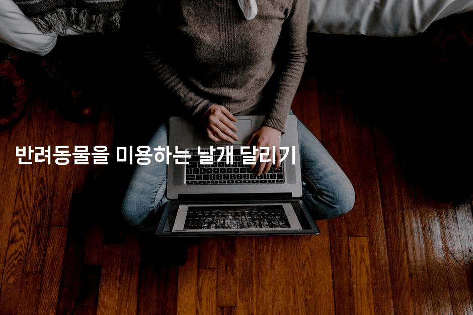 반려동물을 미용하는 날개 달리기-멍멍미야