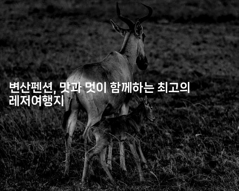 변산펜션, 맛과 멋이 함께하는 최고의 레저여행지2-멍멍미야