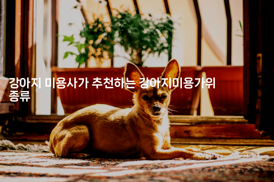 강아지 미용사가 추천하는 강아지미용가위 종류2-멍멍미야