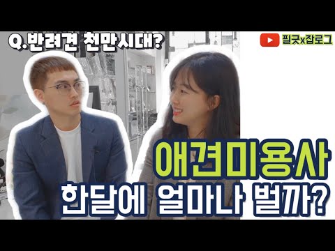 강아지 미용실 운영 5년차! 애견미용사는 얼마나 벌까?