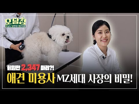 [오달청] 회원만 2,347마리! 애견 미용사 MZ세대 사장의 비밀!