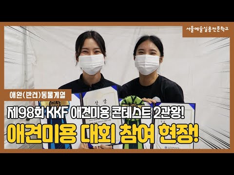 애완동물계열 제 98회 KKF 애견미용 콘테스트 참여 현장 l 서울예술실용전문학교