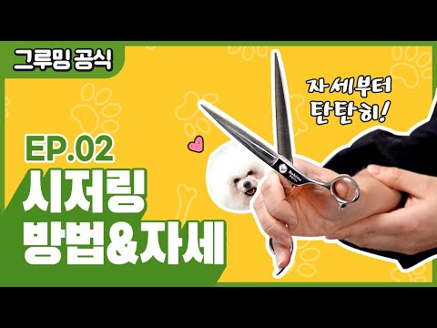 강아지미용 꿀팁 ! 애견가위 잡는 방법 배우고 다치지않는 애견미용해봐요! [그루밍 공식 EP.02]