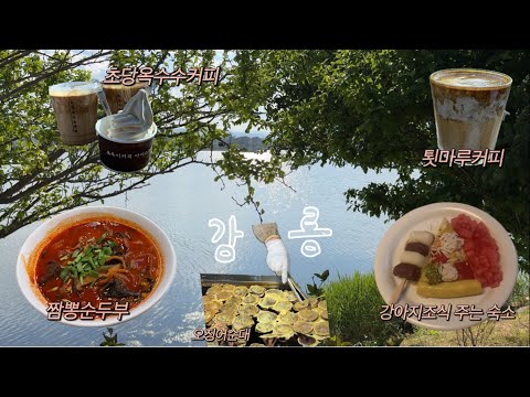 강아지랑 1박2일 강릉여행 🤍 애견동반숙소 | 애견동반카페 | 애견동반식당 | 툇마루 | 갤러리밥스 | 초당옥수수 | 강릉시장 | 짬뽕순두부 | 강릉맛집