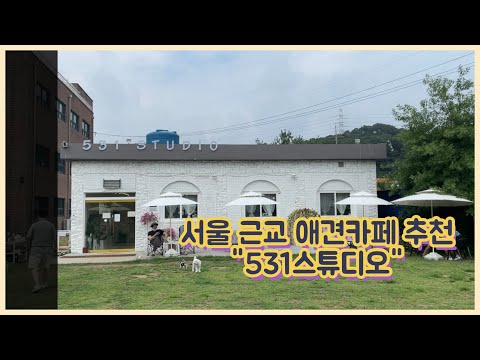 서울 근교 애견카페 추천 "531스튜디오"