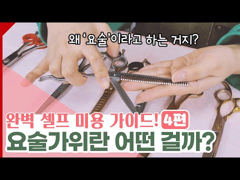 애견 셀프 미용 가이드 4편 - 요술가위란 어떤 가위?