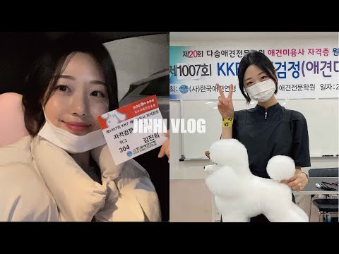 [VLOG] 드디어!!! 애견미용사 3급 자격증 시험치고 왔어요 ?✂️ | 위그 램클립 | 한국애견연맹 | 양산맛집 | 제주미옥 | 한우만찬 | 부산카페 | 진히 일상 브이로그