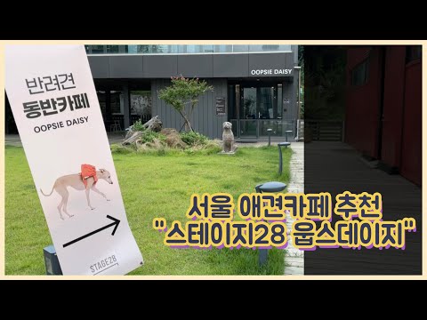 서울 애견카페 추천 "스테이지28 웁시데이지" (강동구 고덕동)