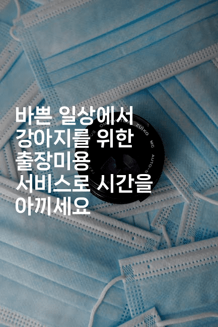 바쁜 일상에서 강아지를 위한 출장미용 서비스로 시간을 아끼세요-멍멍미야