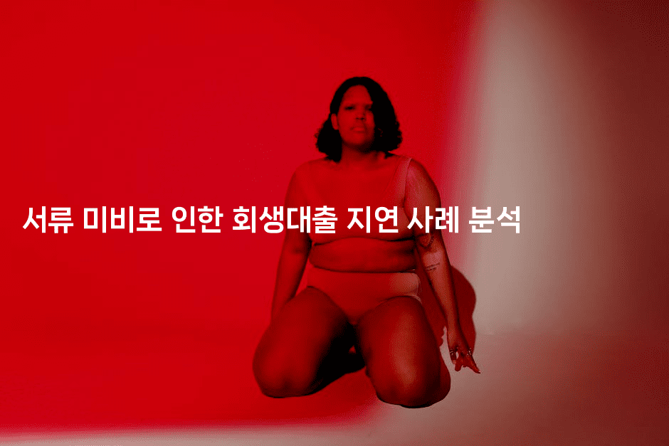 서류 미비로 인한 회생대출 지연 사례 분석-멍멍미야