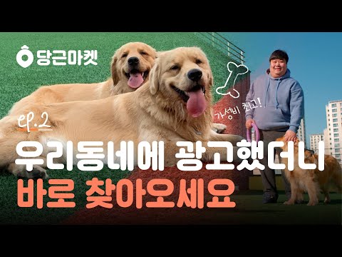 Ep.02 대구 애견유치원 멜팅독 사장님의 당근마켓 지역광고 이야기