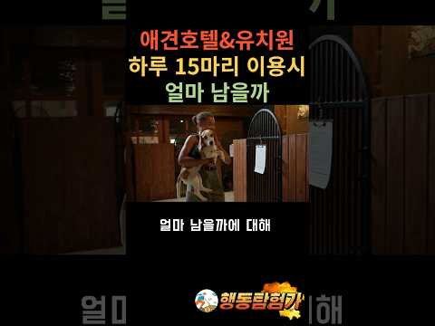 애견호텔&유치원 하루 15마리 이용시 얼마 남을까