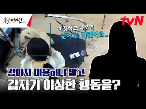 인기 애견 미용실의 실체 포착ㄷㄷ 미용하고 나면 우리 강아지 눈이… #천개의눈 EP.1 | tvN 240826 방송