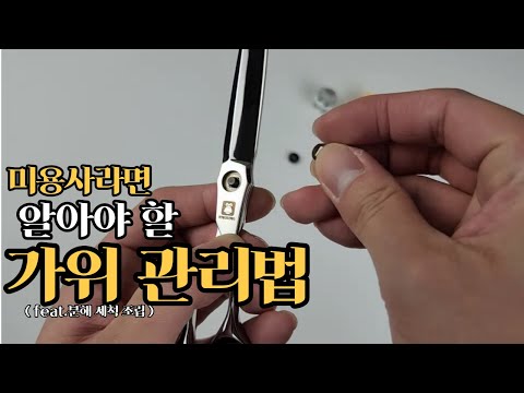 [애견 미용가위 TIP] ?미용가위 관리법, pet scissors (Feat. 분해, 세척, 조립)