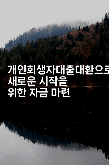 개인회생자대출대환으로 새로운 시작을 위한 자금 마련-멍멍미야