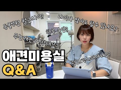 애견미용실 Q&A 모음!?‍♀️ |나이많은데창업?동물병원월급차이?무는개?광고(릴스)해야돼요?