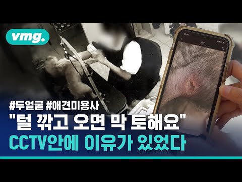 가위로 때리고 목 조르고…서비스 누리러 갔다가 생지옥 겪은 강아지들 / 비디오머그