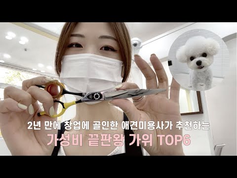 [VLOG] 2년 만에 창업에 골인한 애견미용사가 추천하는 가성비 끝판왕 가위✂️ TOP6 이것만 있으면 됨 | 양산애견미용