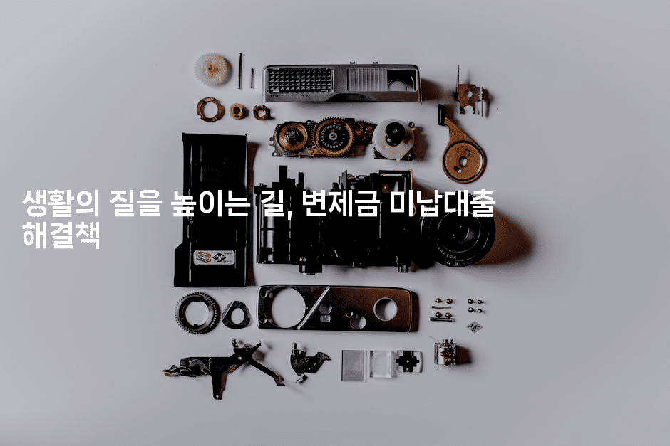 생활의 질을 높이는 길, 변제금 미납대출 해결책-멍멍미야