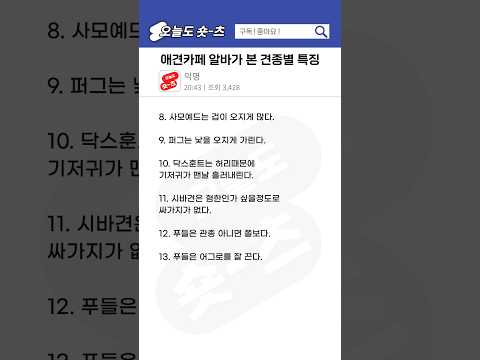 토론) 애견카페 알바가 본 견종별 특징