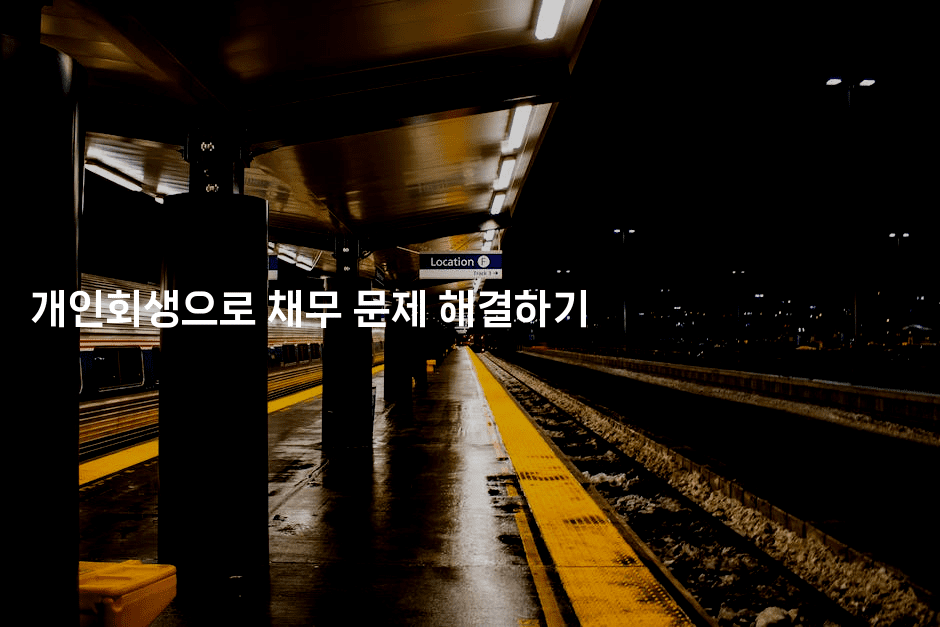 개인회생으로 채무 문제 해결하기-멍멍미야