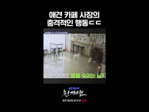 견주 大 폭발) 애견카페 사장의 강아지 학대;; #천개의눈