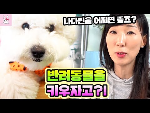 강아지 동생, 고양이 동생이 있었으면 좋겠다는 아이들! 허락 해야 하는건가요?ㅣ토깽이네상상놀이터RabbitPlay