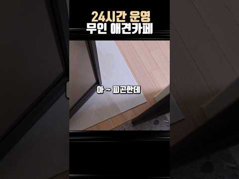 24시간 무인 애견카페 '월월월'