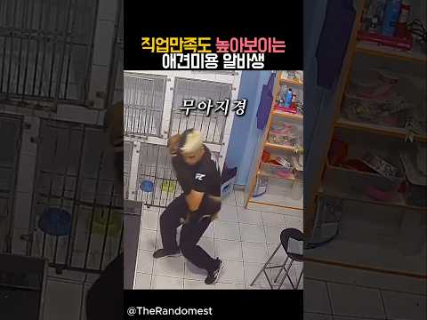 직업만족도 높아보이는 애견미용 알바생 #동물 #유머 #힐링