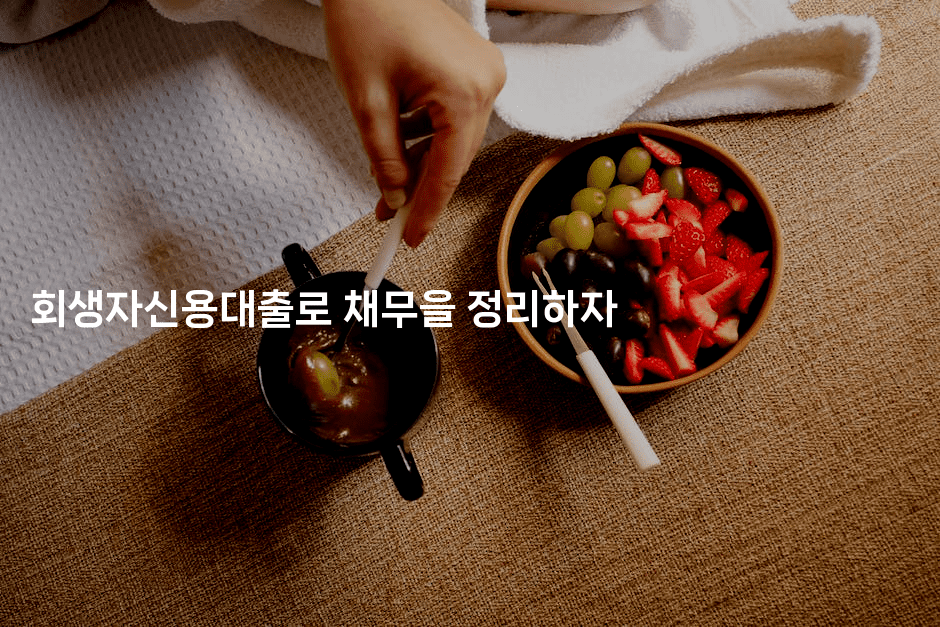 회생자신용대출로 채무을 정리하자-멍멍미야