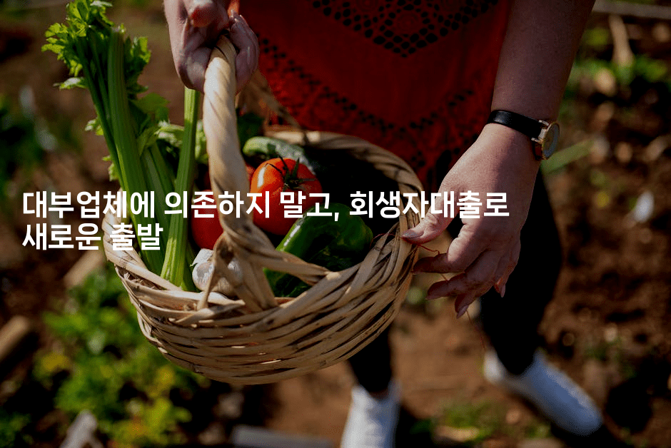 대부업체에 의존하지 말고, 회생자대출로 새로운 출발-멍멍미야