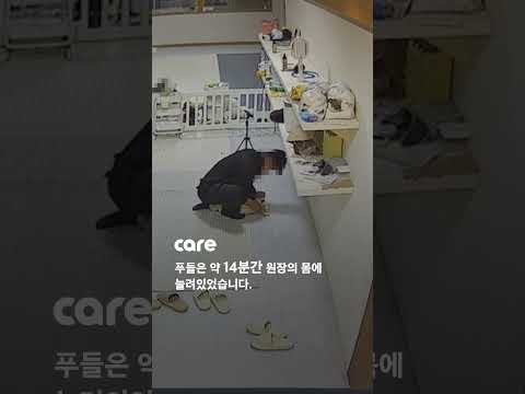 거제도 모 반려견 유치원 동물학대