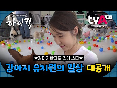 [리얼 도전스토리 하이킥] 유지나 애견 유치원 25마리 댕댕이들 大공개!