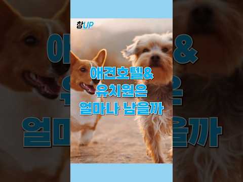 애견호텔 유치원 창업 도대체 얼마 벌까? #애견호텔 #애견유치원 #창업정보