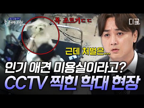 [#천개의눈] 강아지 목 조르는 미용실 원장? CCTV로 드러난 인기 애견 미용샵의 끔찍한 실체?