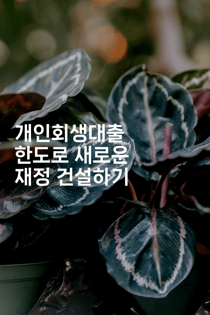 개인회생대출 한도로 새로운 재정 건설하기-멍멍미야