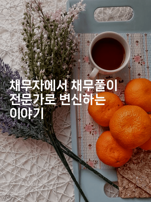 채무자에서 채무풀이 전문가로 변신하는 이야기-멍멍미야